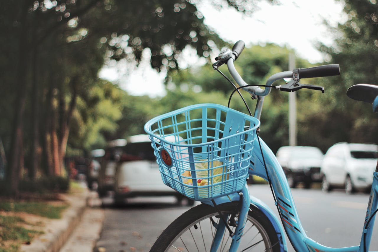 services-02 A blue bicycle with a basket parked on a leafy city street during the day.